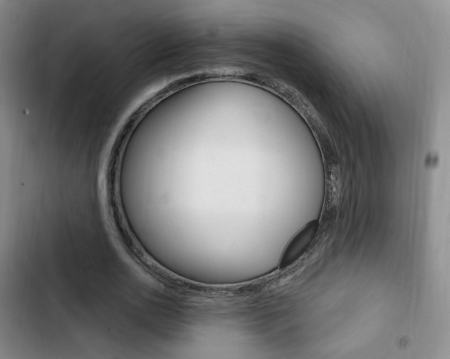 X0000103260726200808291042