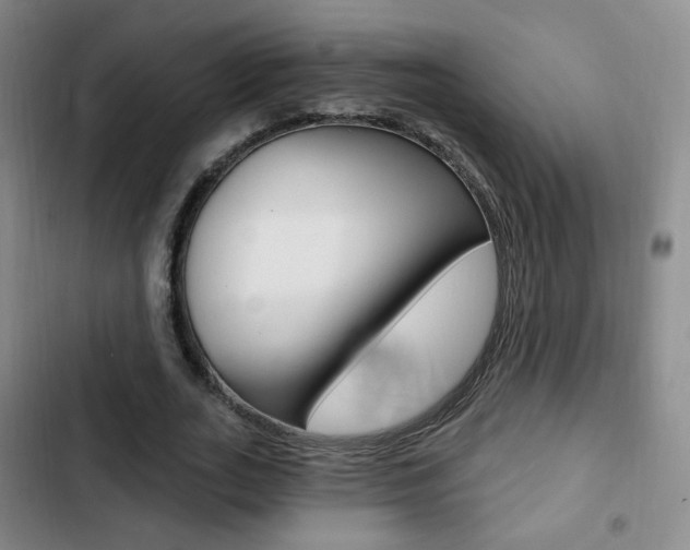 X0000103260727200808291042