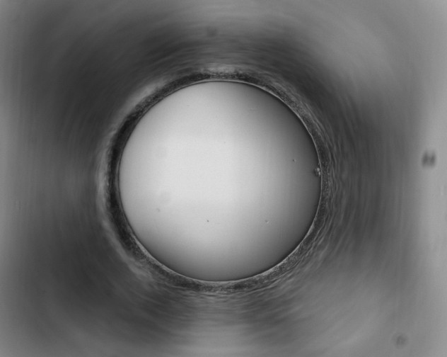 X0000103260728200808291042