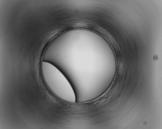X0000103260729200808291042