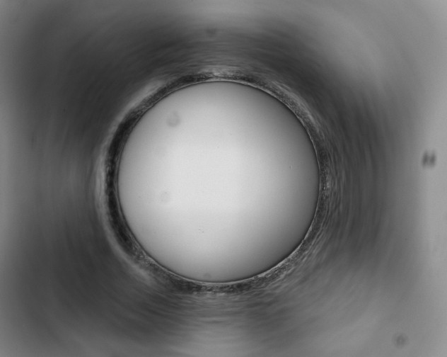 X0000103260730200808291042