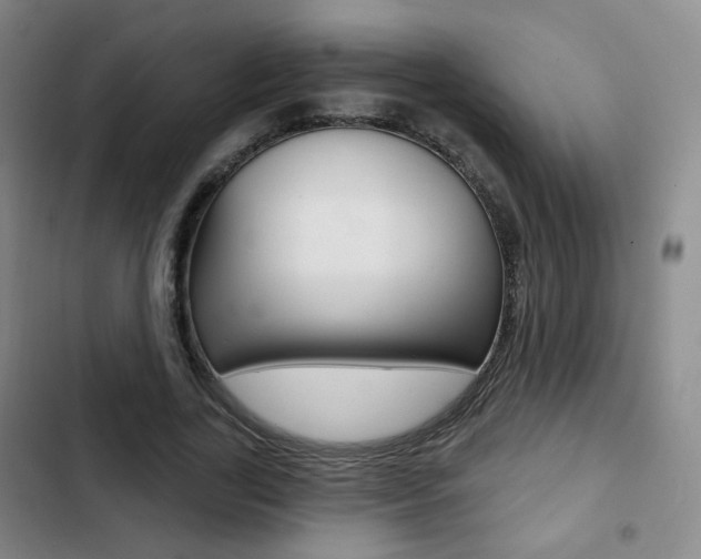 X0000103260731200808291042