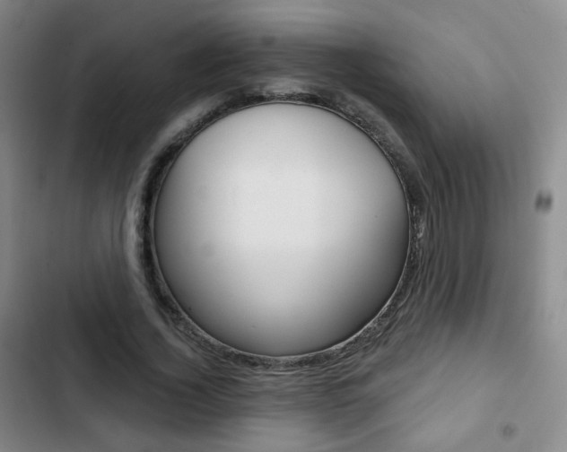 X0000103260732200808291042
