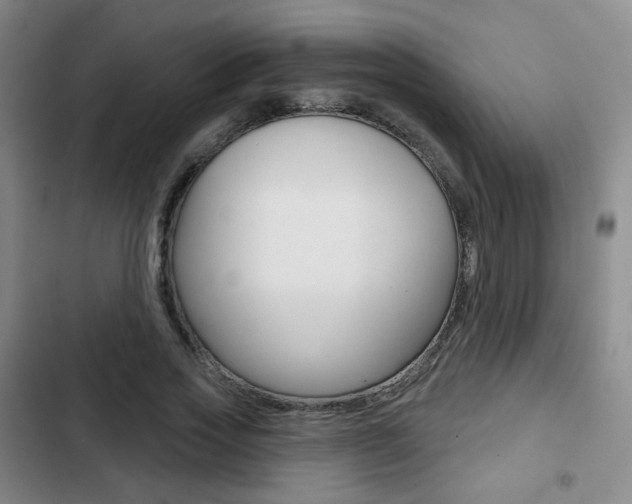 X0000103260733200808291042