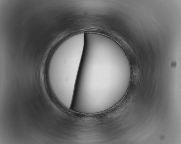 X0000103260734200808291042