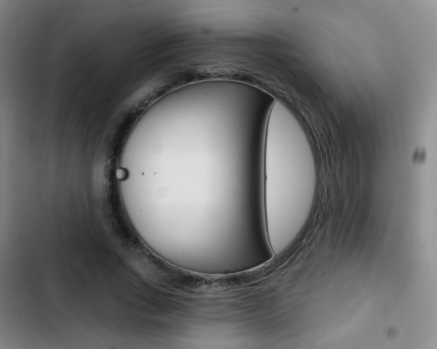 X0000103260735200808291042