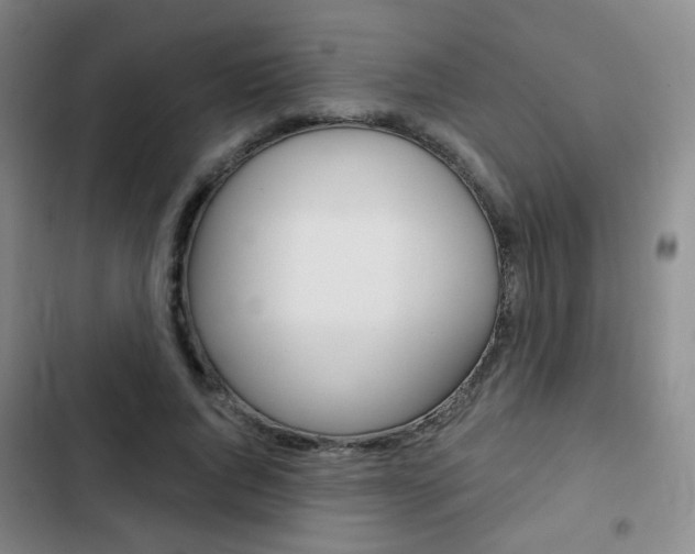 X0000103260736200808291042