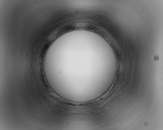 X0000103260737200808291042