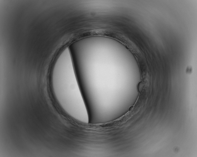 X0000103260738200808291042