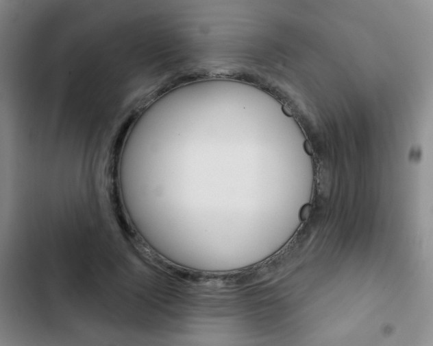 X0000103260740200808291042