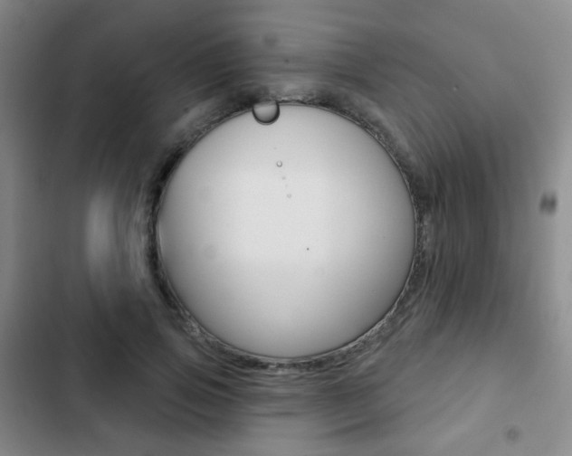 X0000103260741200808291042