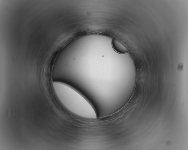 X0000103260742200808291042