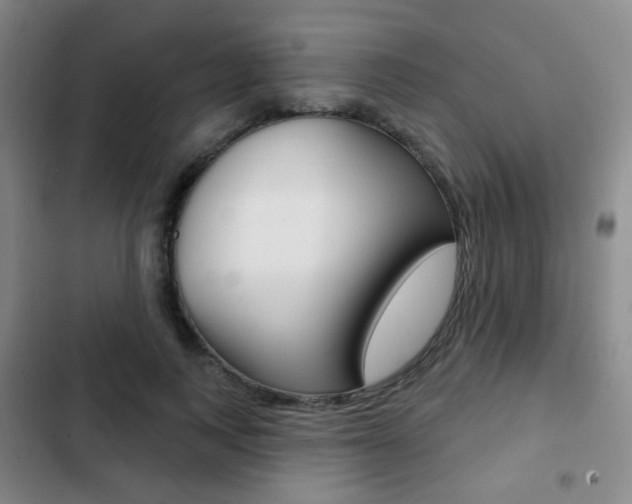 X0000103260743200808291042