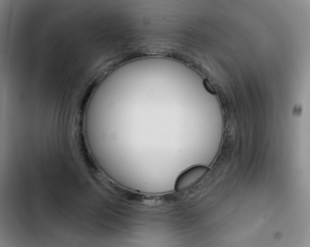 X0000103260744200808291042