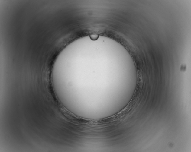 X0000103260745200808291042
