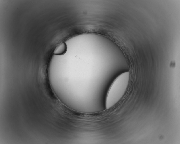 X0000103260746200808291042