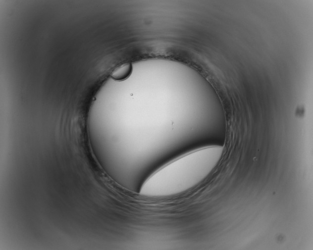X0000103260747200808291042