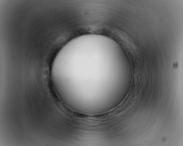X0000103260748200808291042