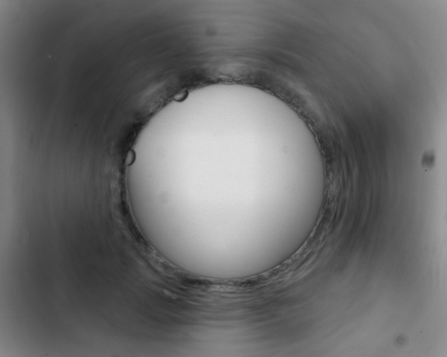 X0000103260749200808291042