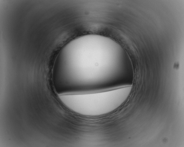 X0000103260750200808291042