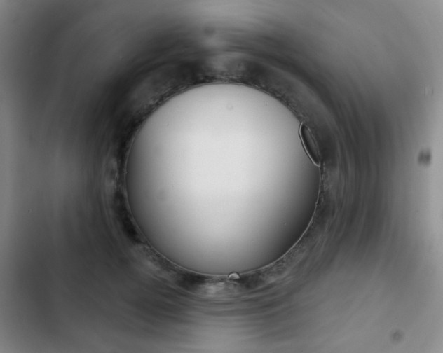 X0000103260752200808291042