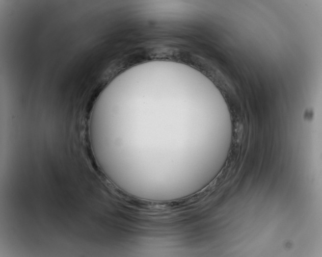X0000103260753200808291042