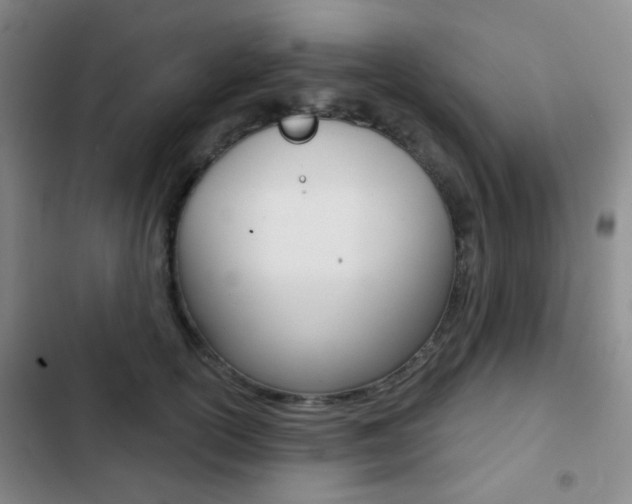X0000103260754200808291042