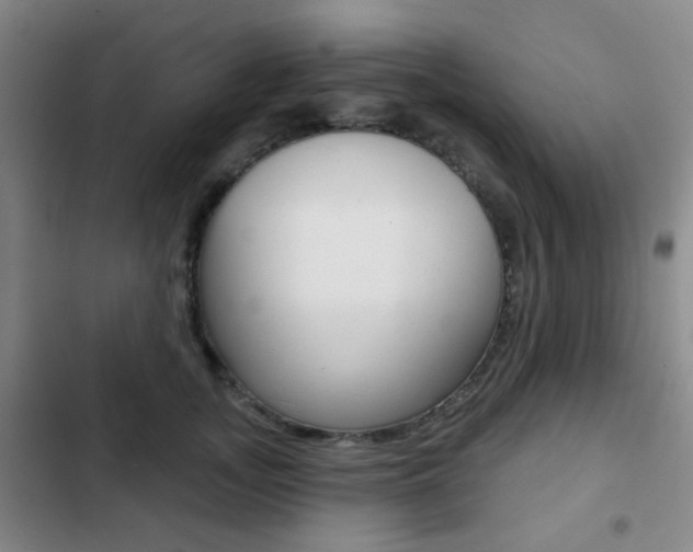 X0000103260755200808291042