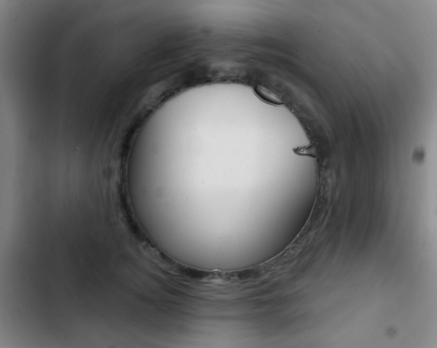 X0000103260756200808291042