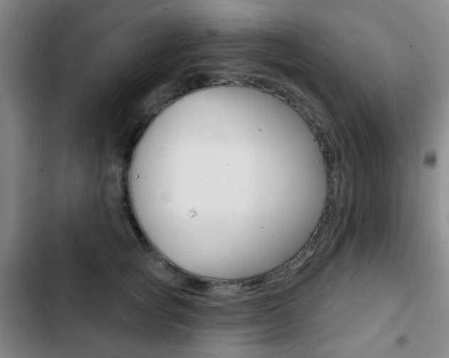 X0000103260757200808291042