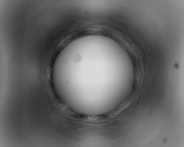 X0000103260758200808291042