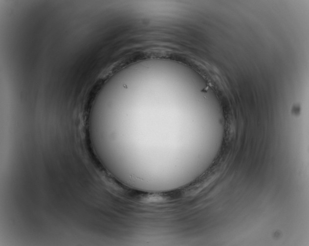 X0000103260759200808291042