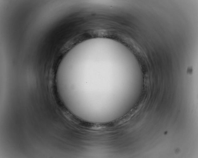 X0000103260760200808291042