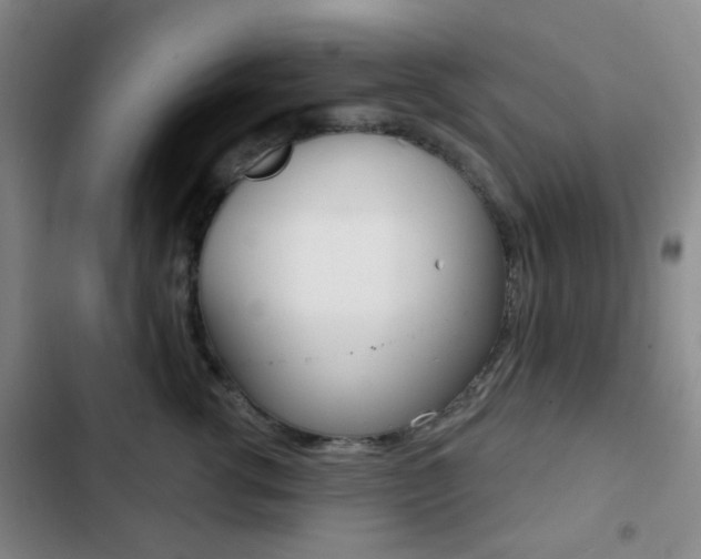 X0000103260762200808291042