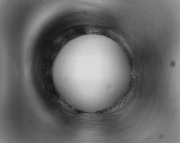 X0000103260763200808291042
