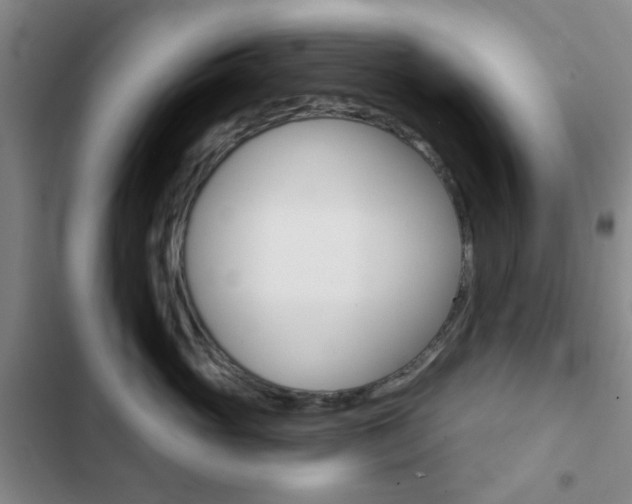 X0000103260765200808291042