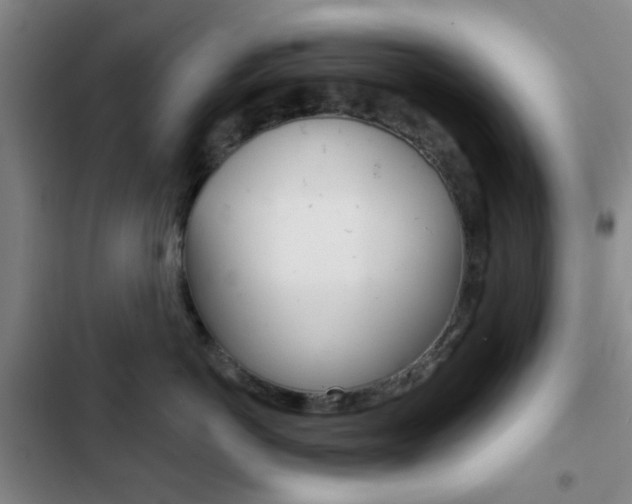 X0000103260766200808291042