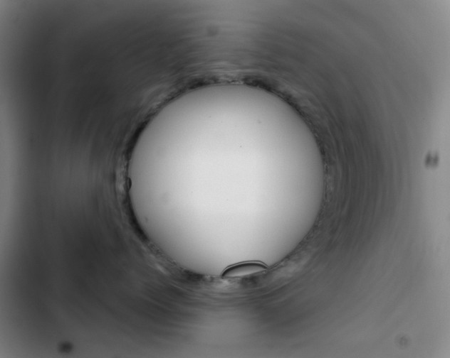X0000103260768200808291042