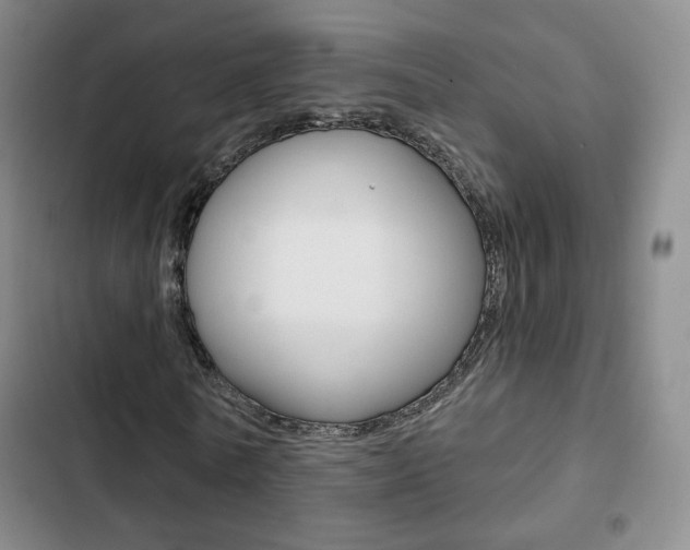 X0000103260770200808291041