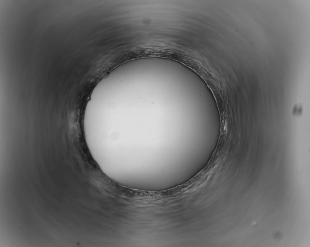 X0000103260771200808291041
