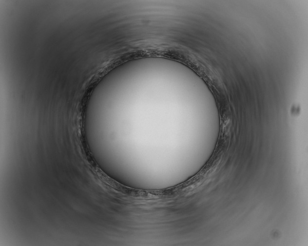 X0000103260772200808291041