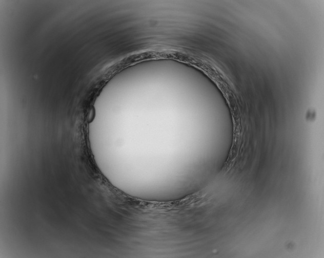 X0000103260773200808291041