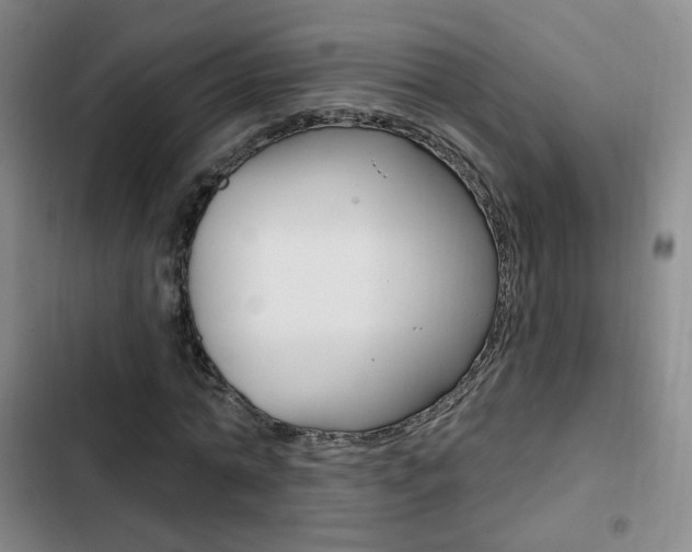 X0000103260774200808291041