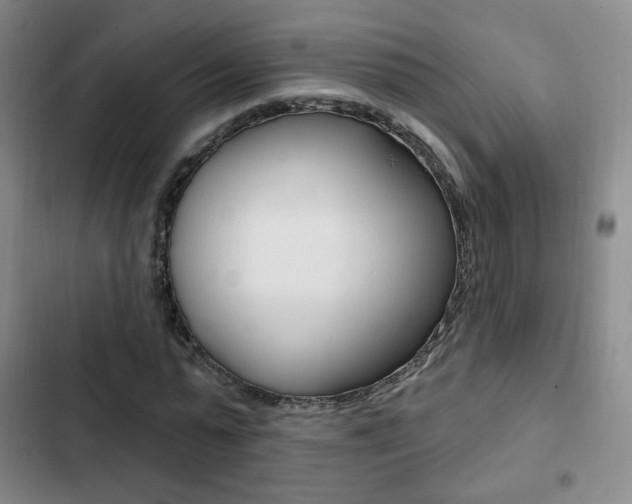 X0000103260775200808291041