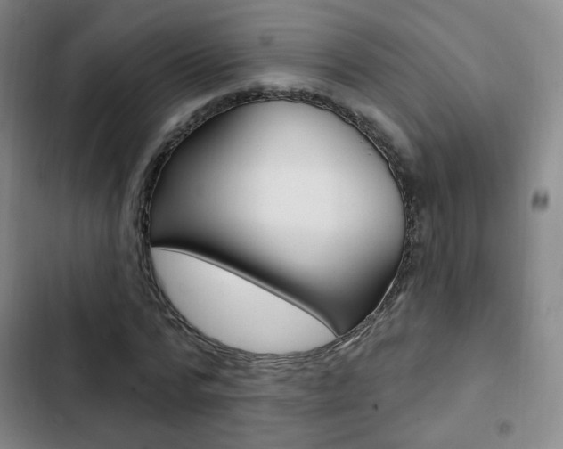 X0000103260776200808291041