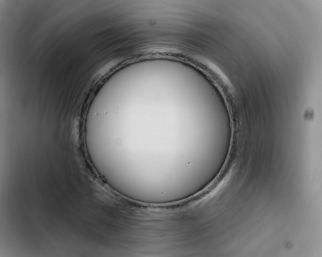 X0000103260777200808291041