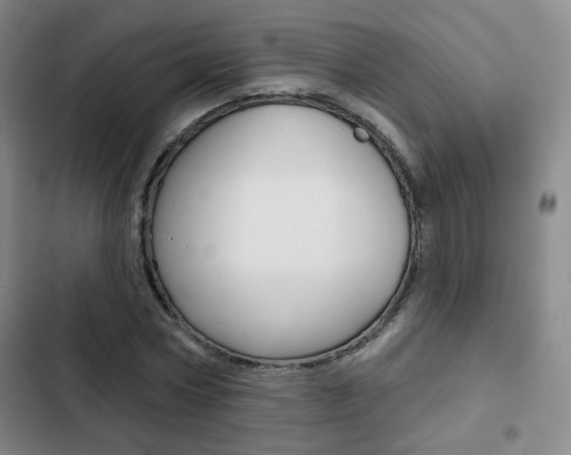 X0000103260778200808291041