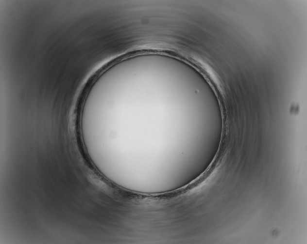 X0000103260779200808291041