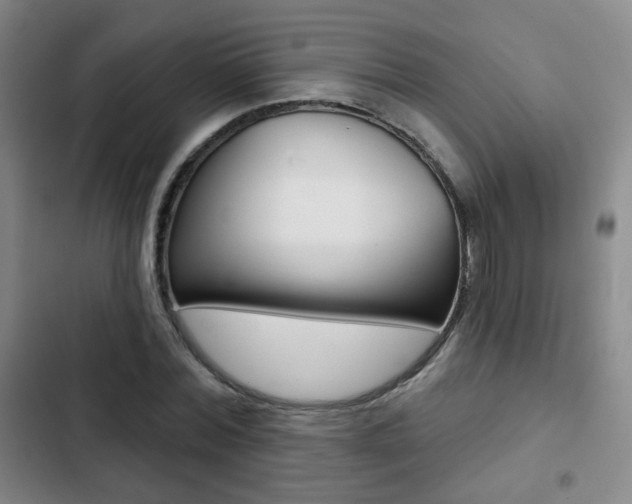 X0000103260780200808291041