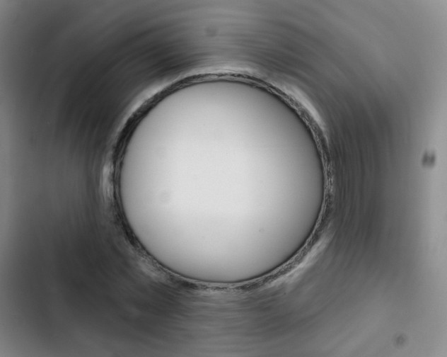 X0000103260781200808291041